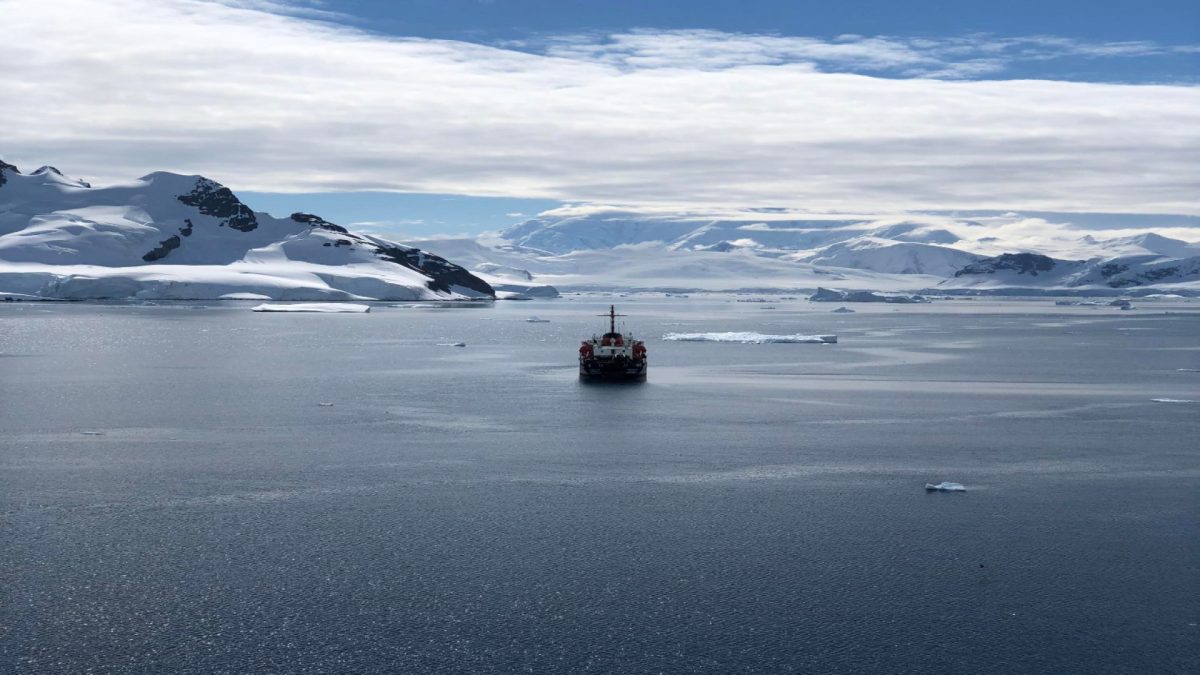 Aventure au bout du monde : vivez une croisière unique en antarctique